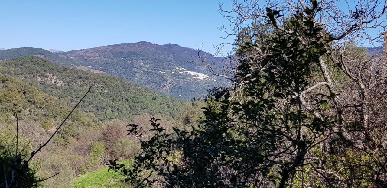 Villa Molino De Santos Benarrabá Esterno foto