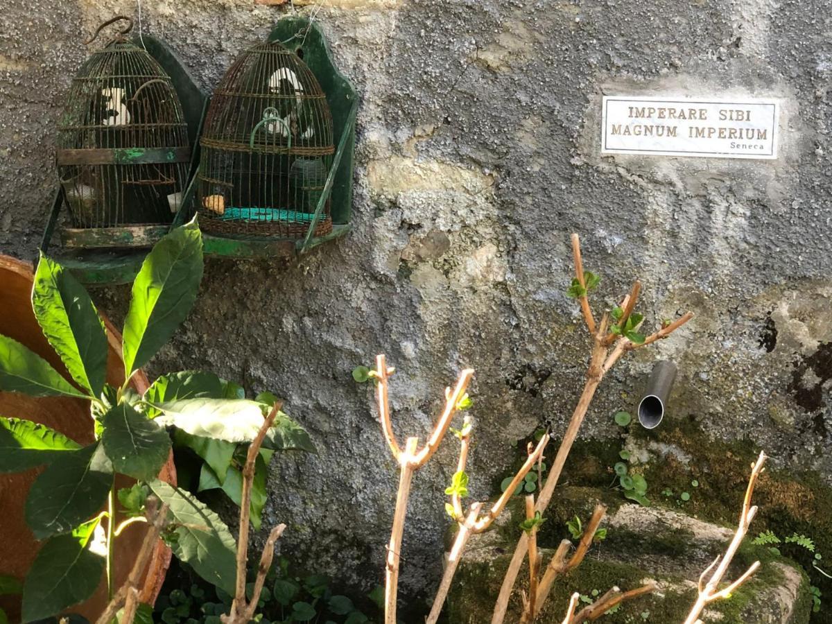 Villa Molino De Santos Benarrabá Esterno foto